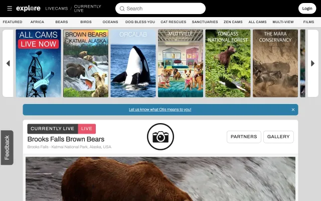 Screenshot of the Explore.org live cams website